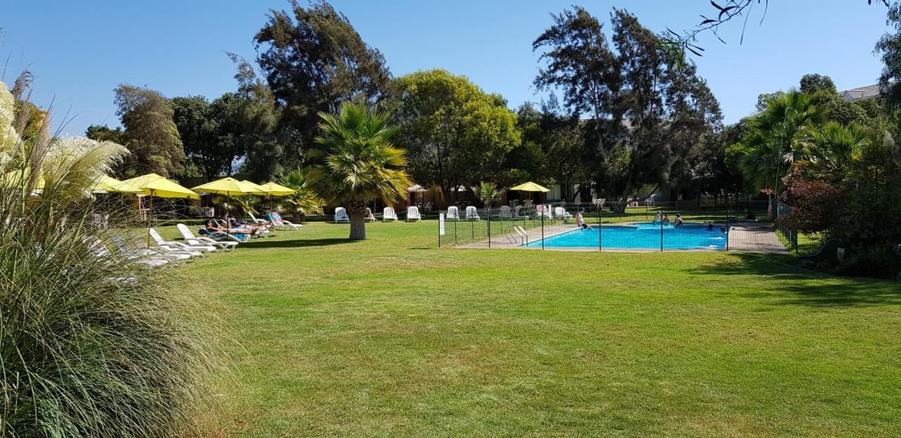 Stellamar Apart Hotel La Serena Exteriör bild