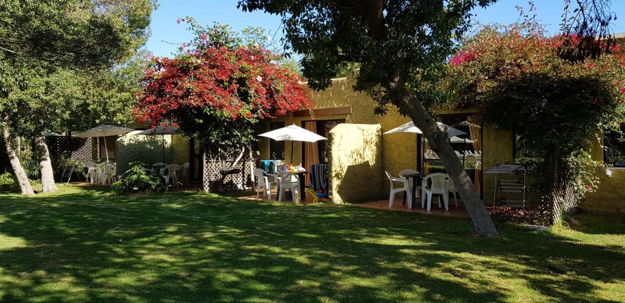 Stellamar Apart Hotel La Serena Exteriör bild